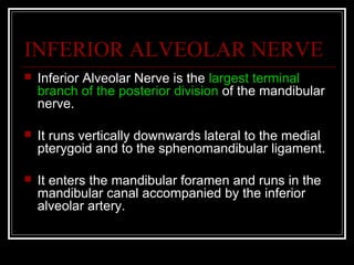 INFERIOR ALVEOLAR NERVE
   Inferior Alveolar Nerve is the largest terminal
    branch of the posterior division of the mandibular
    nerve.

   It runs vertically downwards lateral to the medial
    pterygoid and to the sphenomandibular ligament.

   It enters the mandibular foramen and runs in the
    mandibular canal accompanied by the inferior
    alveolar artery.
 