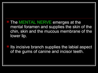    The MENTAL NERVE emerges at the
    mental foramen and supplies the skin of the
    chin, skin and the mucous membrane of the
    lower lip.

   Its incisive branch supplies the labial aspect
    of the gums of canine and incisor teeth.
 