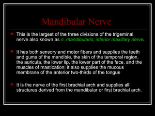 Mandibular Nerve
   This is the largest of the three divisions of the trigeminal
    nerve also known as n. mandibularis; inferior maxillary nerve.

   It has both sensory and motor fibers and supplies the teeth
    and gums of the mandible, the skin of the temporal region,
    the auricula, the lower lip, the lower part of the face, and the
    muscles of mastication; it also supplies the mucous
    membrane of the anterior two-thirds of the tongue

   It is the nerve of the first brachial arch and supplies all
    structures derived from the mandibular or first brachial arch.
 