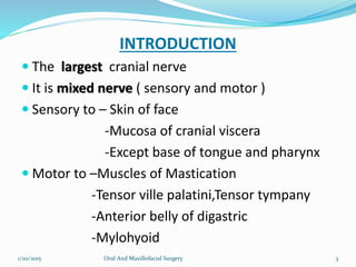 INTRODUCTION
 The largest cranial nerve
 It is mixed nerve ( sensory and motor )
 Sensory to – Skin of face
-Mucosa of cranial viscera
-Except base of tongue and pharynx
 Motor to –Muscles of Mastication
-Tensor ville palatini,Tensor tympany
-Anterior belly of digastric
-Mylohyoid
1/20/2015 Oral And Maxillofacial Surgery 3
 