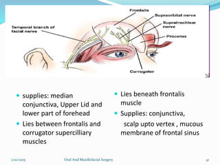  supplies: median
conjunctiva, Upper Lid and
lower part of forehead
 Lies between frontalis and
corrugator supercilliary
muscles
 Lies beneath frontalis
muscle
 Supplies: conjunctiva,
scalp upto vertex , mucous
membrane of frontal sinus
1/20/2015 Oral And Maxillofacial Surgery 41
 