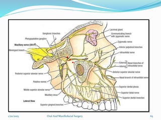 1/20/2015 Oral And Maxillofacial Surgery 65
 