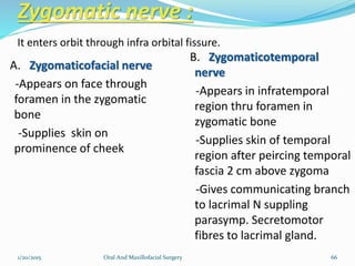 Zygomatic nerve :
A. Zygomaticofacial nerve
-Appears on face through
foramen in the zygomatic
bone
-Supplies skin on
prominence of cheek
B. Zygomaticotemporal
nerve
-Appears in infratemporal
region thru foramen in
zygomatic bone
-Supplies skin of temporal
region after peircing temporal
fascia 2 cm above zygoma
-Gives communicating branch
to lacrimal N suppling
parasymp. Secretomotor
fibres to lacrimal gland.
1/20/2015 Oral And Maxillofacial Surgery 66
It enters orbit through infra orbital fissure.
 