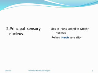 2.Principal sensory
nucleus-
Lies in Pons lateral to Motor
nucleus
Relays touch sensation
1/20/2015 Oral And Maxillofacial Surgery 7
 