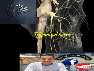 Trigeminal nerve
 