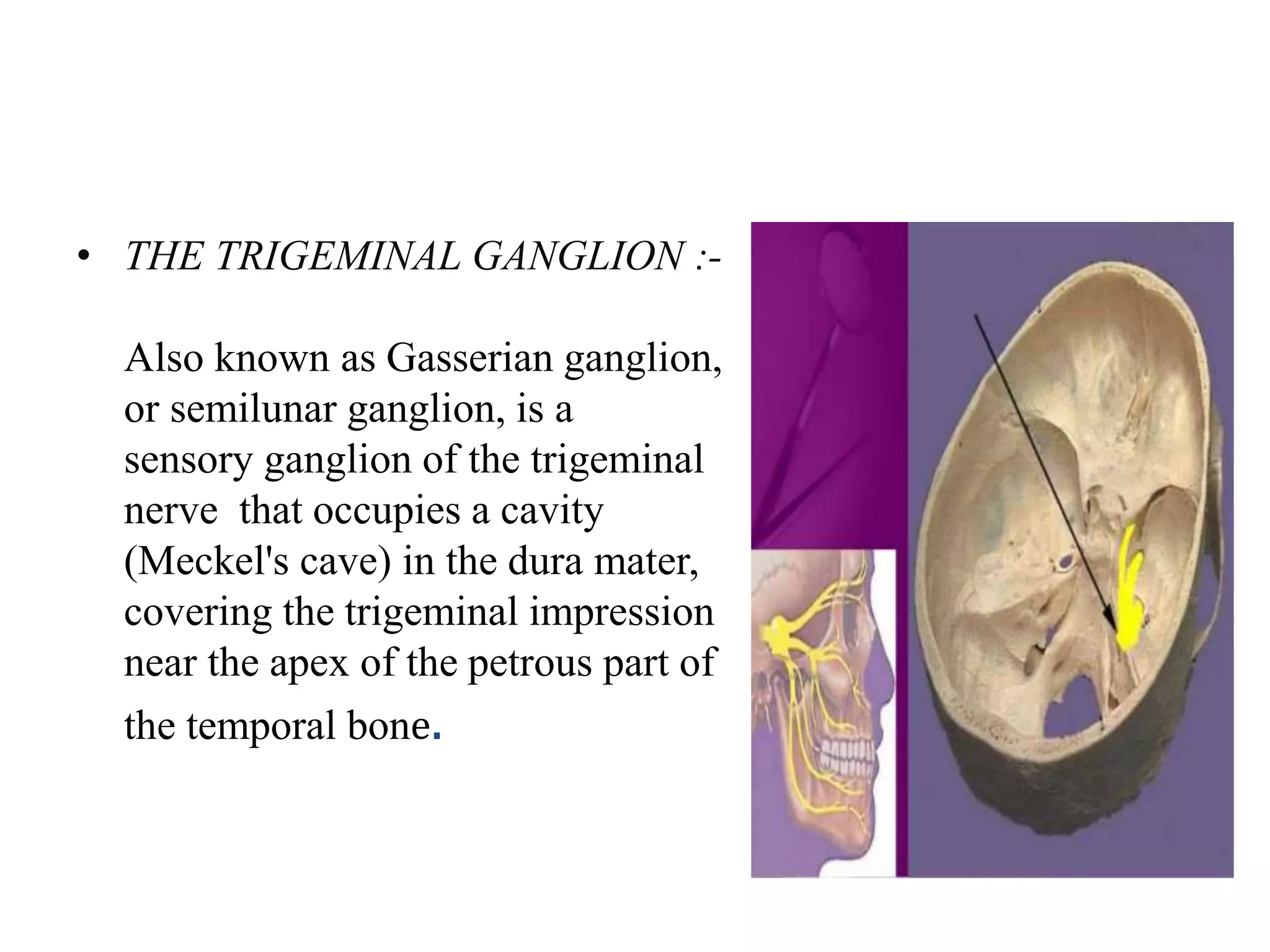 Trigeminal Impression For Trigeminal Ganglion