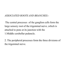 ASSOCIATED ROOTS AND BRANCHES:-
The central processes of the ganglion cells form the
large sensory root of the trigeminal nerve ,which is
attached to pons at its junction with the
1.Middle cerebellar peduncle.
2. The peripheral processes form the three divisions of
the trigeminal nerve.
 