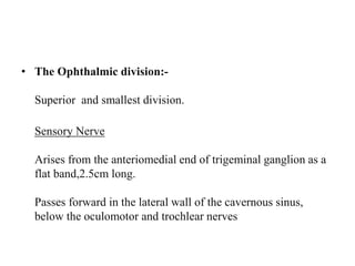 • The Ophthalmic division:-
Superior and smallest division.
Sensory Nerve
Arises from the anteriomedial end of trigeminal ganglion as a
flat band,2.5cm long.
Passes forward in the lateral wall of the cavernous sinus,
below the oculomotor and trochlear nerves
 