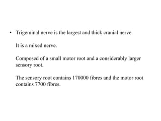 • Trigeminal nerve is the largest and thick cranial nerve.
It is a mixed nerve.
Composed of a small motor root and a considerably larger
sensory root.
The sensory root contains 170000 fibres and the motor root
contains 7700 fibres.
 