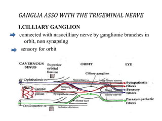 GANGLIA ASSO WITH THE TRIGEMINAL NERVE
1.CILLIARY GANGLION
connected with nasocilliary nerve by ganglionic branches in
orbit, non synapsing
sensory for orbit
 