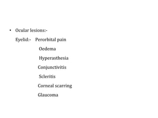 • Ocular lesions:-
Eyelid:- Perorbital pain
Oedema
Hyperasthesia
Conjunctivitis
Scleritis
Corneal scarring
Glaucoma
 