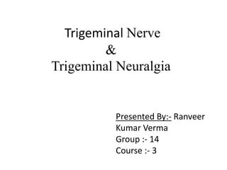 Trigeminal Nerve
&
Trigeminal Neuralgia
Presented By:- Ranveer
Kumar Verma
Group :- 14
Course :- 3
 
