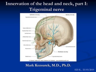 Innervation of the head and neck, part I:
Trigeminal nerve
Mark Kozsurek, M.D., Ph.D.
ED II., 25/03/2019
 