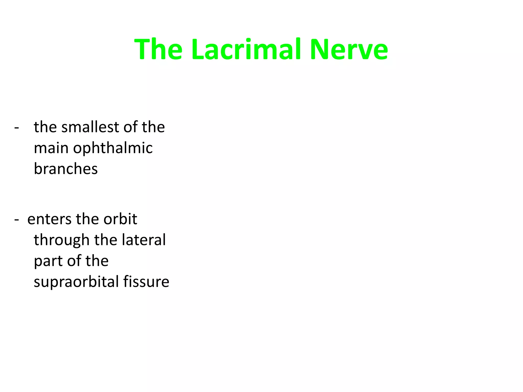 The Lacrimal Nerve
- the smallest of the
main ophthalmic
branches
- enters the orbit
through the lateral
part of the
supraorbital fissure
 