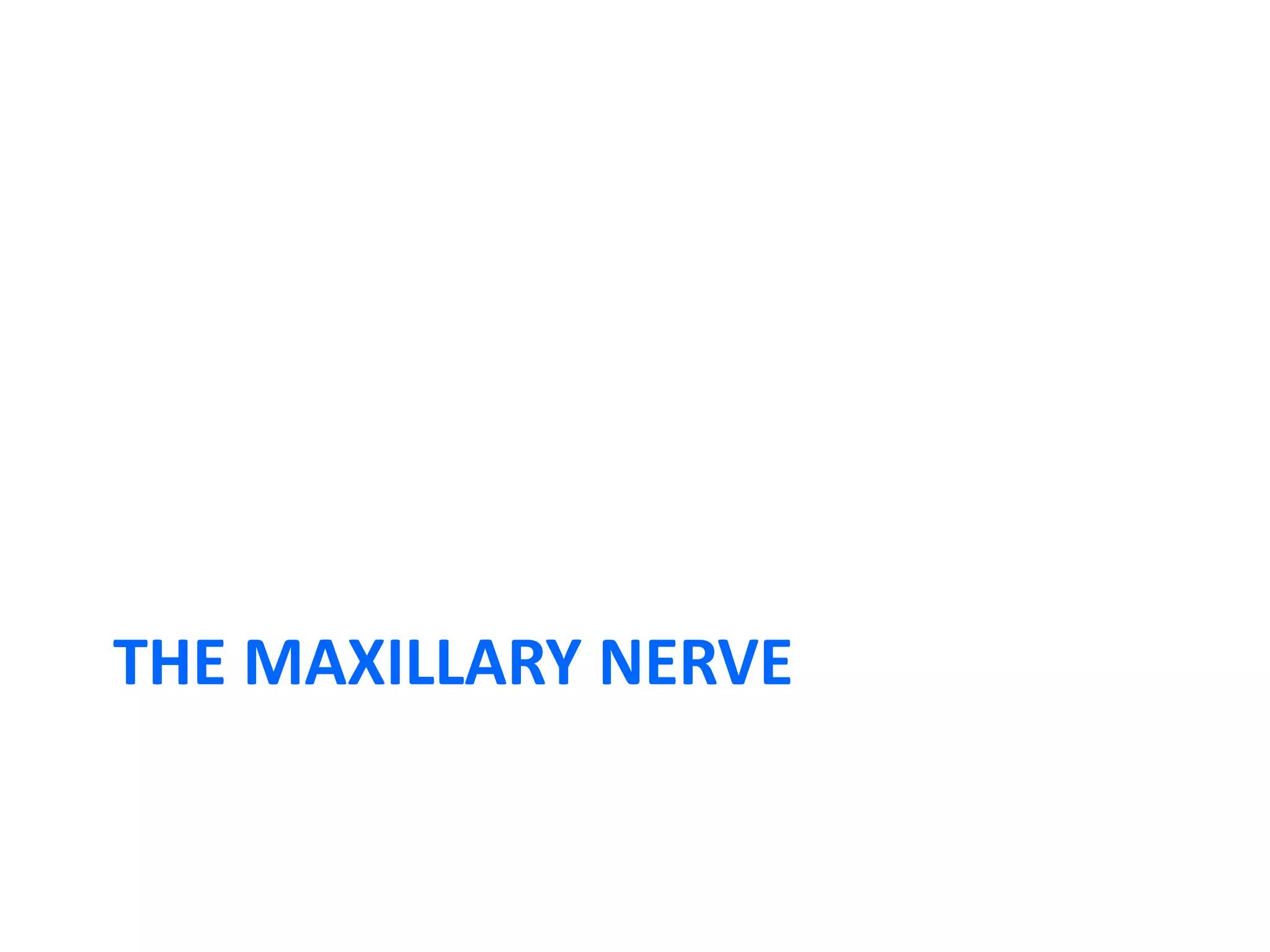 THE MAXILLARY NERVE
 