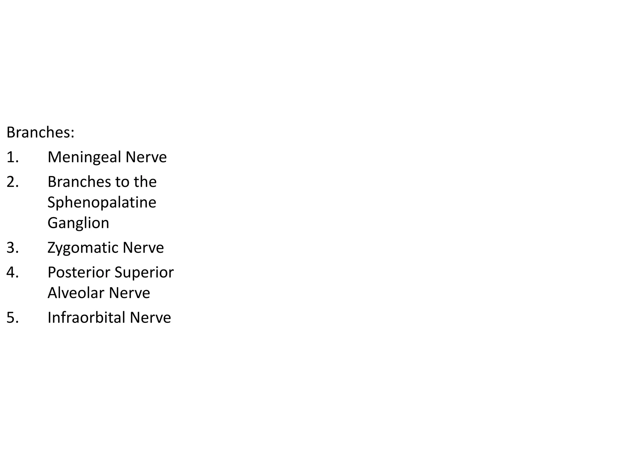 Branches:
1. Meningeal Nerve
2. Branches to the
Sphenopalatine
Ganglion
3. Zygomatic Nerve
4. Posterior Superior
Alveolar Nerve
5. Infraorbital Nerve
 