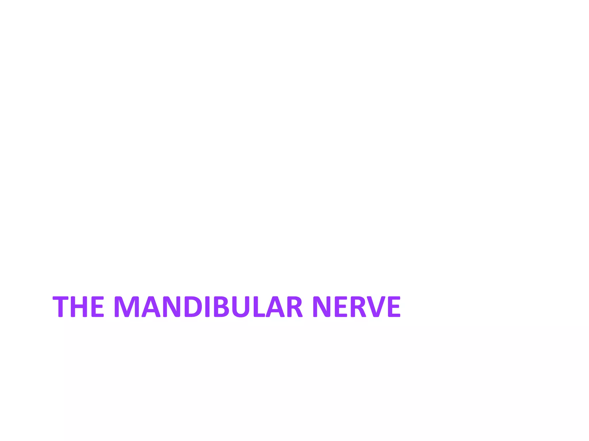 THE MANDIBULAR NERVE
 