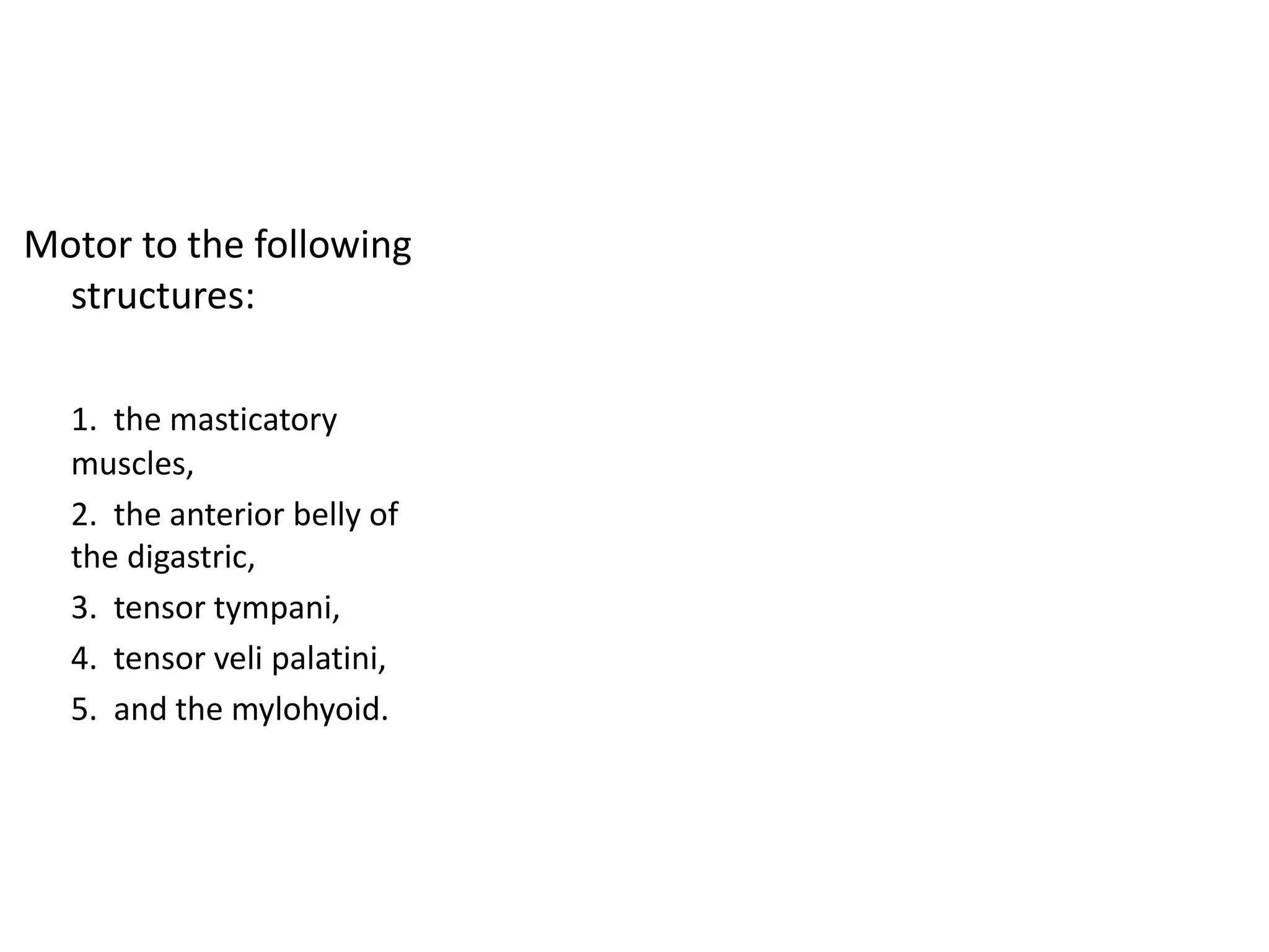 Motor to the following
structures:
1. the masticatory
muscles,
2. the anterior belly of
the digastric,
3. tensor tympani,
4. tensor veli palatini,
5. and the mylohyoid.
 