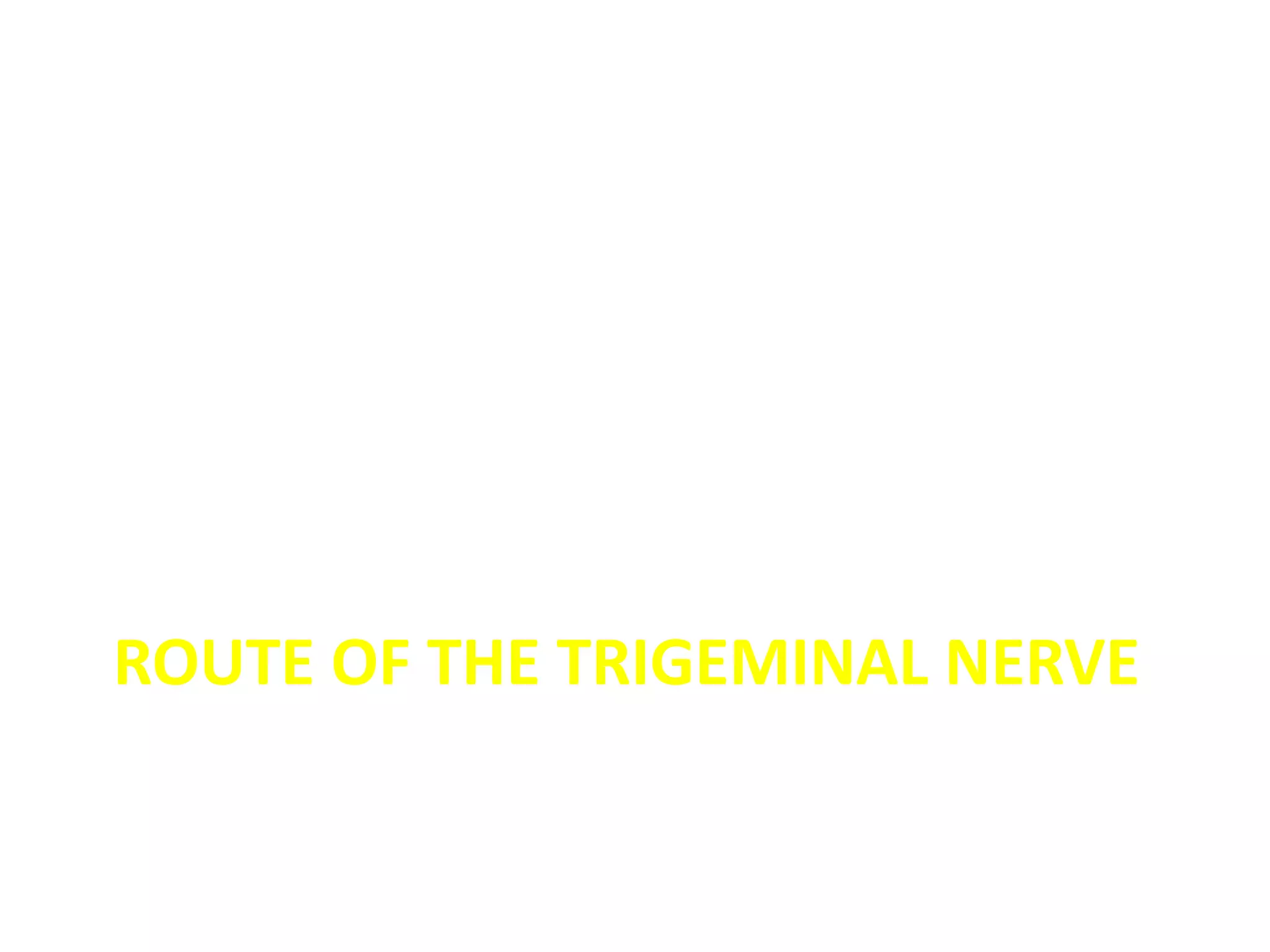 ROUTE OF THE TRIGEMINAL NERVE
 