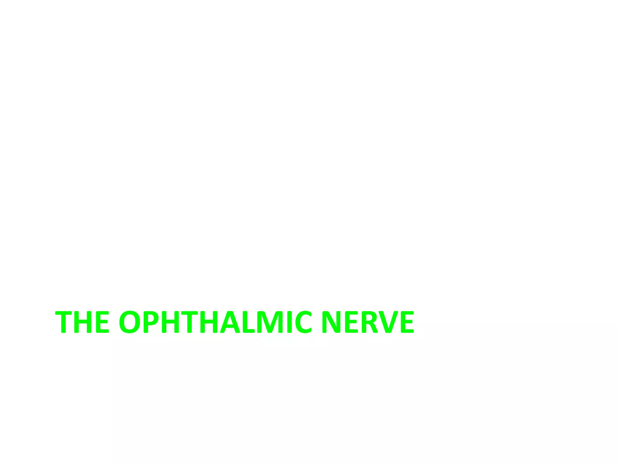 THE OPHTHALMIC NERVE
 