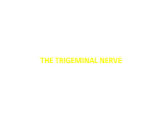 THE TRIGEMINAL NERVE
 