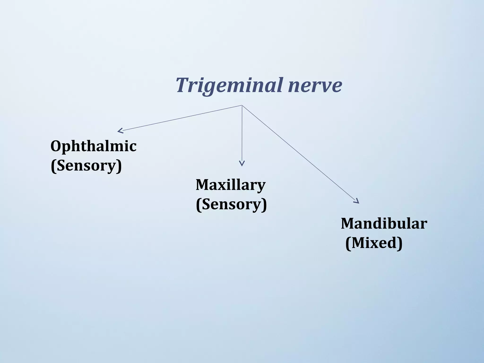 Trigeminal nerve
Ophthalmic
(Sensory)
Maxillary
(Sensory)
Mandibular
(Mixed)
 
