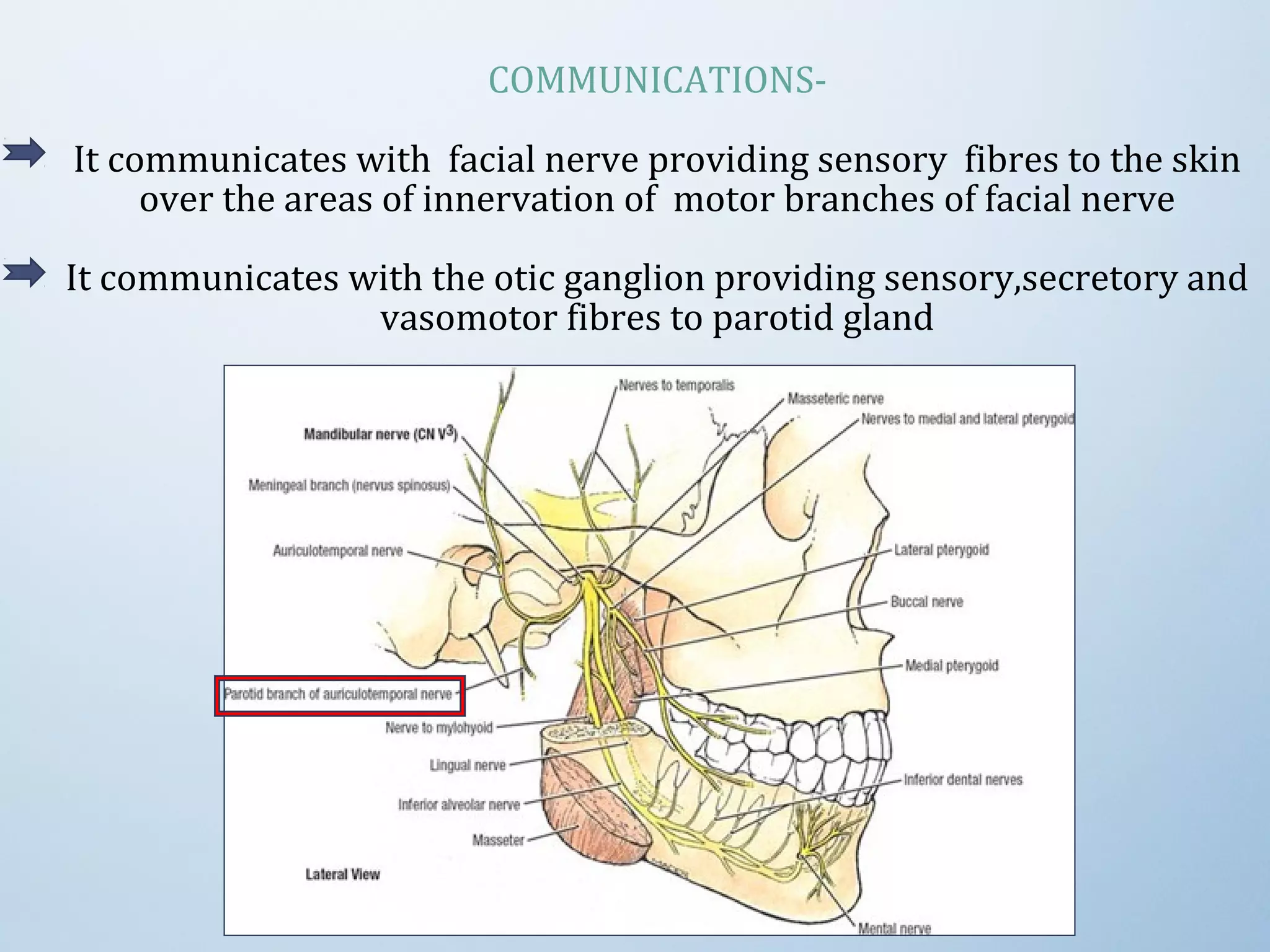 COMMUNICATIONS-
It communicates with facial nerve providing sensory fibres to the skin
over the areas of innervation of motor branches of facial nerve
It communicates with the otic ganglion providing sensory,secretory and
vasomotor fibres to parotid gland
 