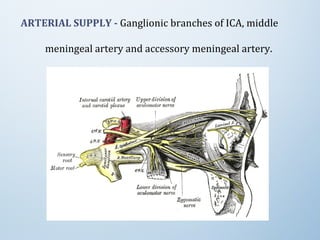 ARTERIAL SUPPLY - Ganglionic branches of ICA, middle 
meningeal artery and accessory meningeal artery.
 