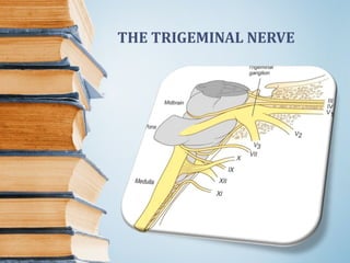 THE TRIGEMINAL NERVE
 