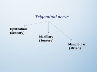 Trigeminal nerve
Ophthalmic
(Sensory)
Maxillary
(Sensory)
Mandibular
(Mixed)
 