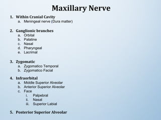 Maxillary Nerve
1. Within Cranial Cavity
a. Meningeal nerve (Dura matter)
2. Ganglionic branches
a. Orbital
b. Palatine
c. Nasal
d. Pharyngeal
e. Lacrimal
3. Zygomatic
a. Zygomatico Temporal
b. Zygomatico Facial
4. Infraorbital
a. Middle Superior Alveolar
b. Anterior Superior Alveolar
c. Face
i. Palpebral
ii. Nasal
iii. Superior Labial
5. Posterior Superior Alveolar
 
