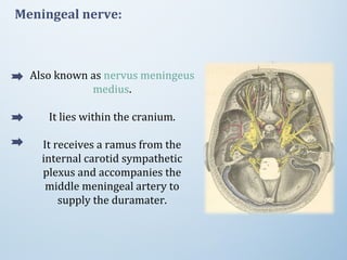 Meningeal nerve:
Also known as nervus meningeus
medius.
It lies within the cranium.
It receives a ramus from the
internal carotid sympathetic
plexus and accompanies the
middle meningeal artery to
supply the duramater.
 