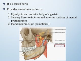 It is a mixed nerve
Provides motor innervation to:
1. Mylohyoid and anterior belly of digastric
2. Sensory fibres to inferior and anterior surfaces of mental
protuberance
3. Mandibular incisors (sometimes)
 