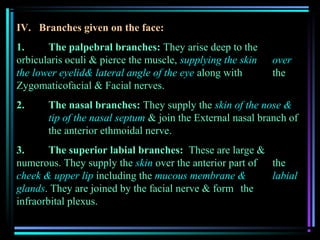 IV. Branches given on the face:
1.     The palpebral branches: They arise deep to the
orbicularis oculi & pierce the muscle, supplying the skin   over
the lower eyelid& lateral angle of the eye along with       the
Zygomaticofacial & Facial nerves.
2.     The nasal branches: They supply the skin of the nose &
       tip of the nasal septum & join the External nasal branch of
       the anterior ethmoidal nerve.
3.      The superior labial branches: These are large &
numerous. They supply the skin over the anterior part of the
cheek & upper lip including the mucous membrane &        labial
glands. They are joined by the facial nerve & form the
infraorbital plexus.
 