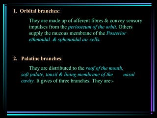 1. Orbital branches:
      They are made up of afferent fibres & convey sensory
      impulses from the periosteum of the orbit. Others
      supply the mucous membrane of the Posterior
      ethmoidal & sphenoidal air cells.


2. Palatine branches:
       They are distributed to the roof of the mouth,
   soft palate, tonsil & lining membrane of the      nasal
   cavity. It gives of three branches. They are:-
 