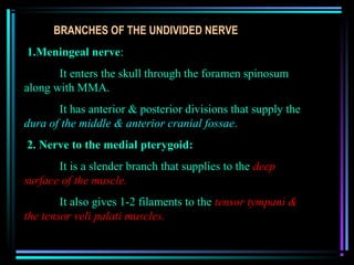 BRANCHES OF THE UNDIVIDED NERVE
1.Meningeal nerve:
       It enters the skull through the foramen spinosum
along with MMA.
       It has anterior & posterior divisions that supply the
dura of the middle & anterior cranial fossae.
2. Nerve to the medial pterygoid:
       It is a slender branch that supplies to the deep
surface of the muscle.
        It also gives 1-2 filaments to the tensor tympani &
the tensor veli palati muscles.
 