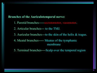 Branches of the Auriculotemporal nerve:
   1. Parotid branches-----secretomotor, vasomotor.
   2. Articular branches--- to the TMJ.
   3. Auricular branches---to the skin of the helix & tragus.
   4. Meatal branches----- Meatus of the tymphanic
                            membrane
   5. Terminal branches----Scalp over the temporal region
 