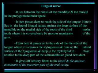 Lingual nerve
        ~It lies between the ramus of the mandible & the muscle
in the pterygomandibular space.
        ~It then passes deep to reach the side of the tongue. Here it
lies in the lateral lingual sulcus against the deep surface of the
mandible on the medial side of the roots of the third          molar
tooth where it is covered only by mucous membrane              of the
gum.
        ~From here it passes on to the side of the the side of the
tongue where it is crosses the styloglossus & runs on the lateral
surface of the hyoglossus & deep to the mylohyoid in           close
relation to the deep part of the submandibular gland &its duct.
     ~It gives off sensory fibres to the tonsil & the mucous
membrane of the posterior part of the oral cavity.
 