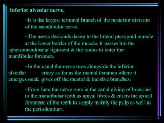 Inferior alveolar nerve.
       ~It is the largest terminal branch of the posterior division
       of the mandibular nerve.
      ~The nerve descends deeep to the lateral pterygoid muscle
      at the lower border of the muscle, it passes b/n the
sphenomandibular ligament & the ramus to enter the
mandibular foramen.
       ~In the canal the nerve runs alongside the inferior
alveolar       artery as far as the mental foramen where it
emerges out& gives off the mental & incisive branches.
       ~From here the nerve runs in the canal giving of branches
       to the mandibular teeth as apical fibres & enters the apical
       foramena of the teeth to supply mainly the pulp as well as
       the periodontium.
 