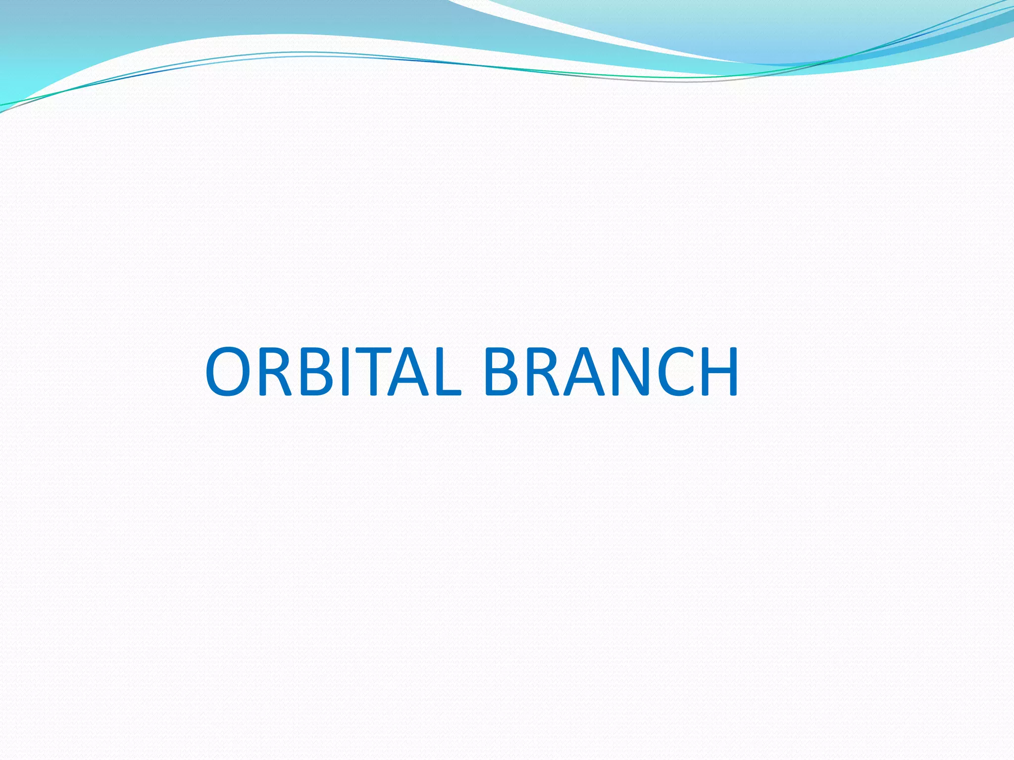 ORBITAL BRANCH
 