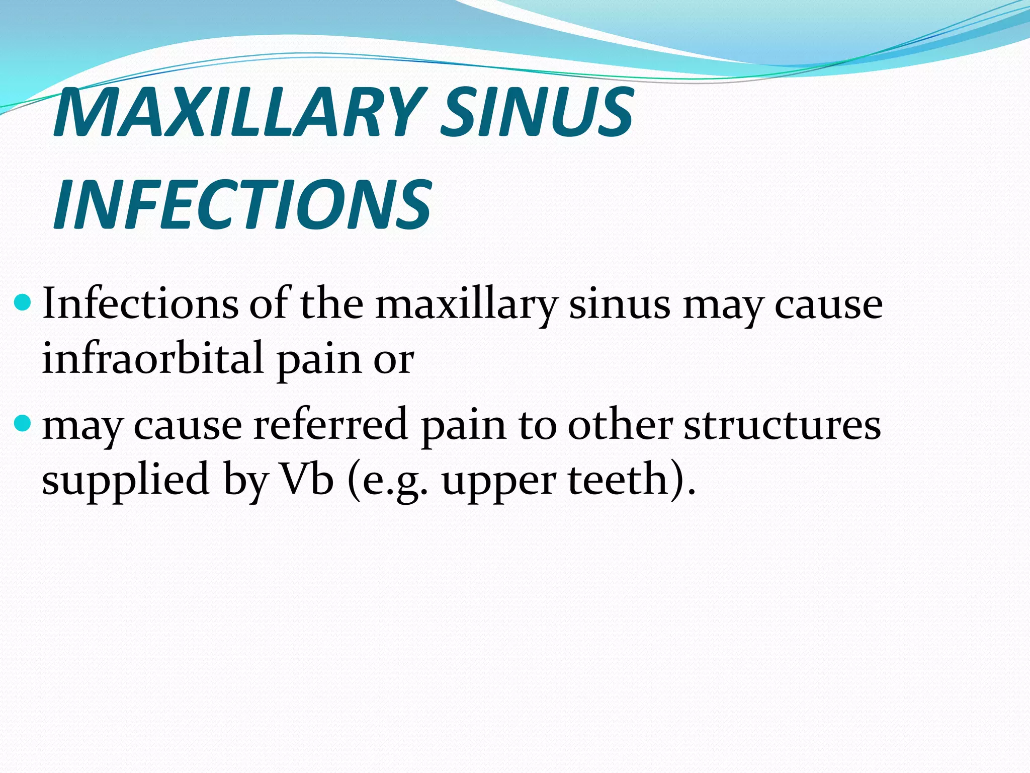 MAXILLARY SINUS
INFECTIONS
 Infections of the maxillary sinus may cause
infraorbital pain or
 may cause referred pain to other structures
supplied by Vb (e.g. upper teeth).
 