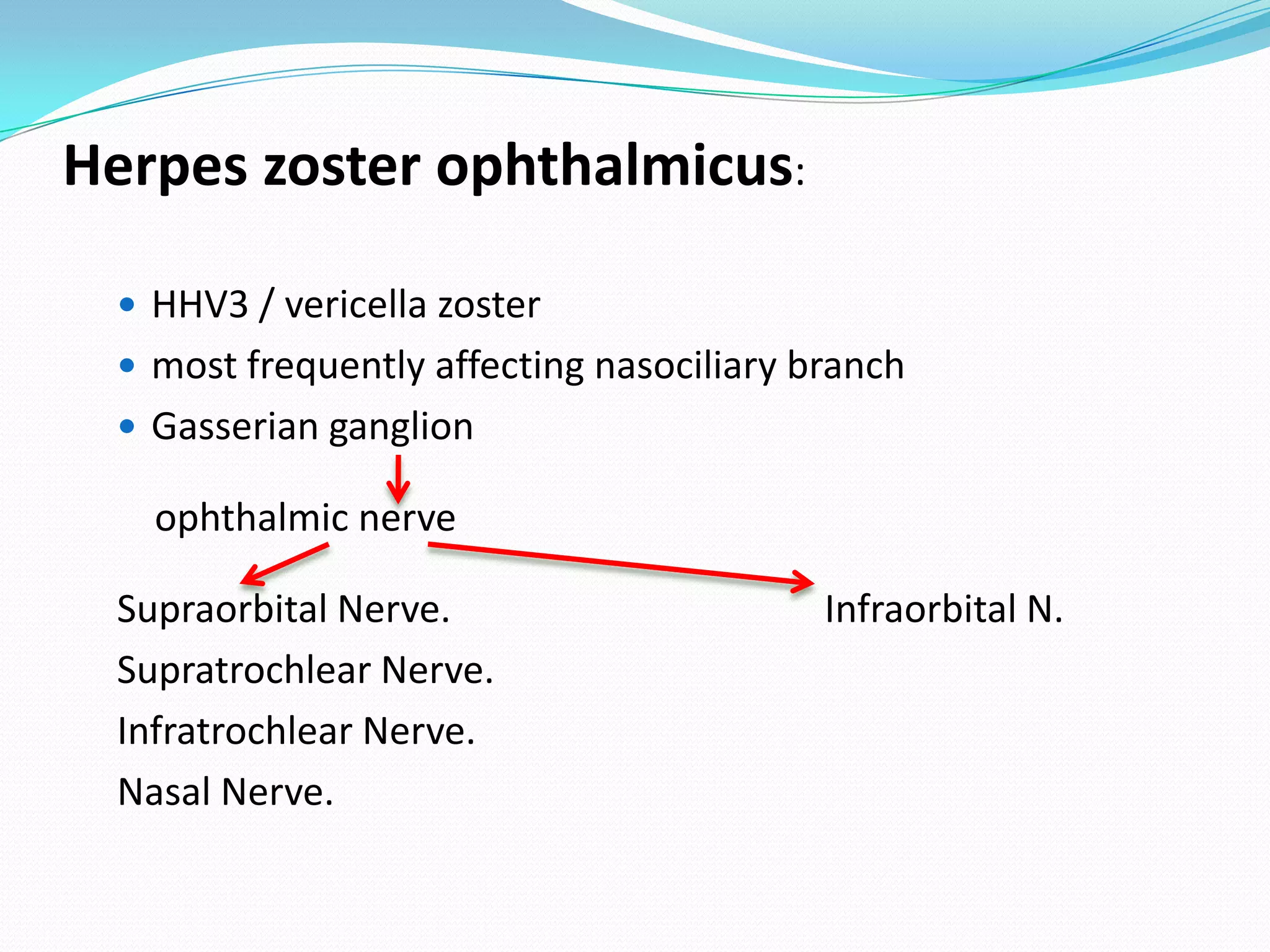 Herpes zoster ophthalmicus:
 HHV3 / vericella zoster
 most frequently affecting nasociliary branch
 Gasserian ganglion
ophthalmic nerve
Supraorbital Nerve. Infraorbital N.
Supratrochlear Nerve.
Infratrochlear Nerve.
Nasal Nerve.
 