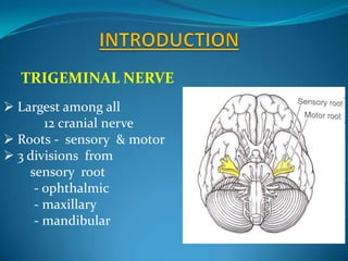  Largest among all
12 cranial nerve
 Roots - sensory & motor
 3 divisions from
sensory root
- ophthalmic
- maxillary
- mandibular
TRIGEMINAL NERVE
 