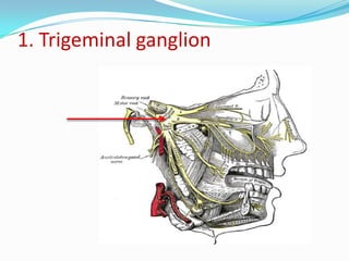 1. Trigeminal ganglion
 