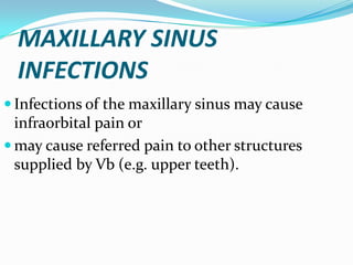 MAXILLARY SINUS
INFECTIONS
 Infections of the maxillary sinus may cause
infraorbital pain or
 may cause referred pain to other structures
supplied by Vb (e.g. upper teeth).
 