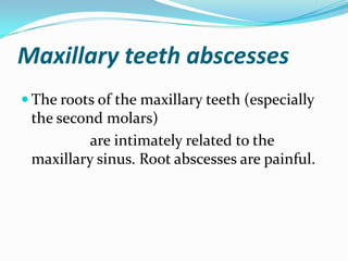 Maxillary teeth abscesses
 The roots of the maxillary teeth (especially
the second molars)
are intimately related to the
maxillary sinus. Root abscesses are painful.
 