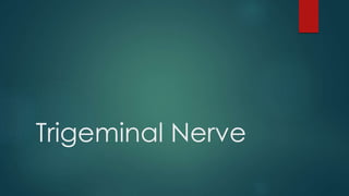 Trigeminal Nerve 
 