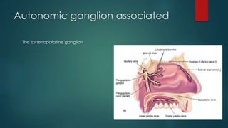Autonomic ganglion associated 
The sphenopalatine ganglion 
 