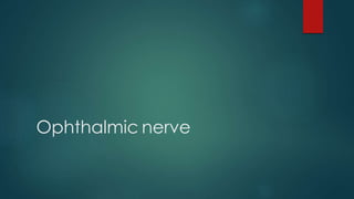 Ophthalmic nerve 
 