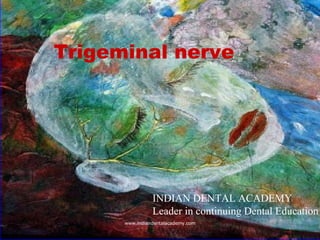18/07/08
Trigeminal nerve
INDIAN DENTAL ACADEMY
Leader in continuing Dental Education
www.indiandentalacademy.com
 